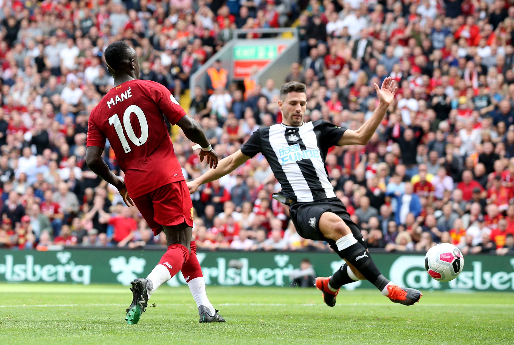 球队架构 球队架构